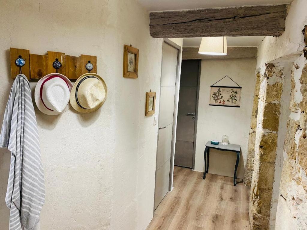 La Maison Du Parc Rdc Balaruc-les-Bains Dış mekan fotoğraf